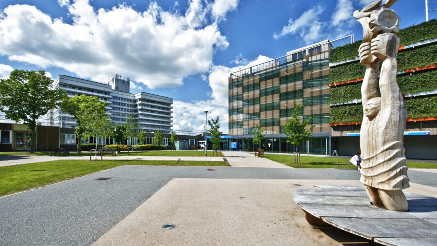 Lister hospital grounds photo